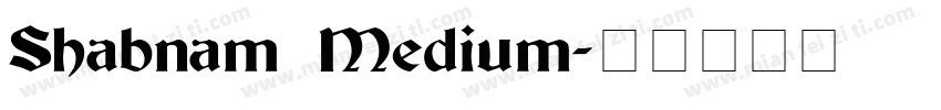 Shabnam Medium字体转换